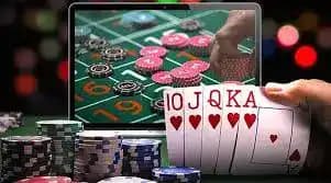 555bet cassino